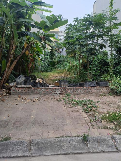 Bán Nhà Phố Hào Nam 7PN - Siêu Phẩm Dòng Tiền 

10.5 tỷ - Gọi Ngay 0396935190  Sở Hữu Ngay